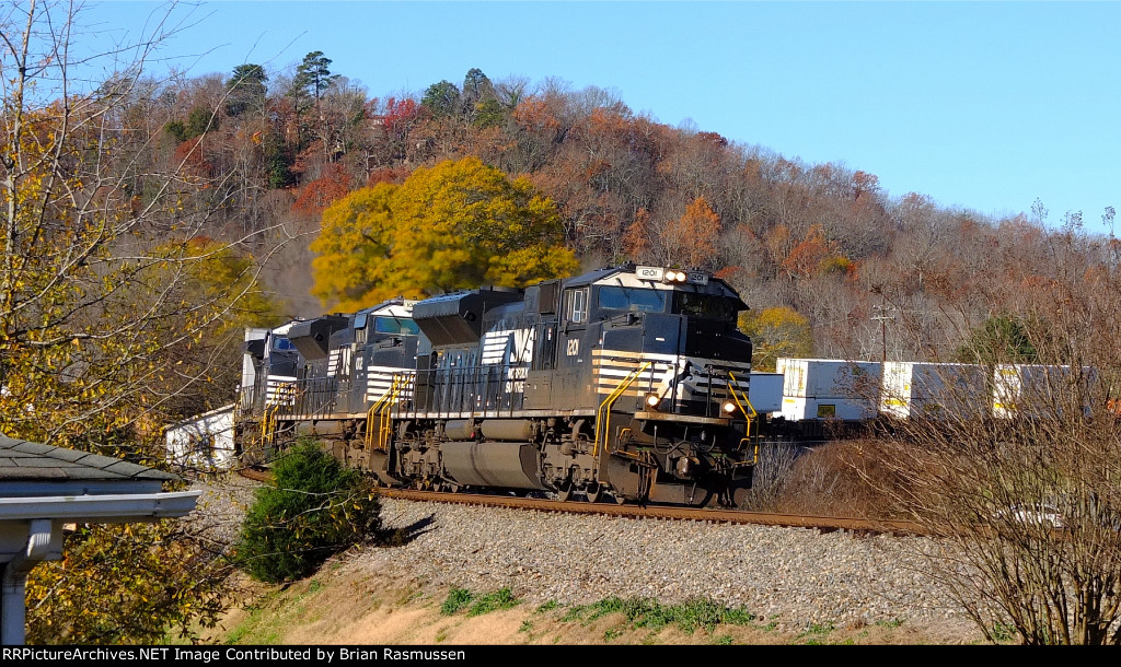 NS 1201